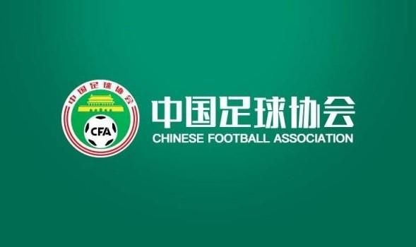 国内精品视频在线播放