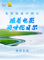 麻豆av免费在线观看