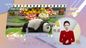2020-02-23 当地时间2月22日，贾樟柯出席第70届柏林电影节《一直游到海水变蓝》发布会。